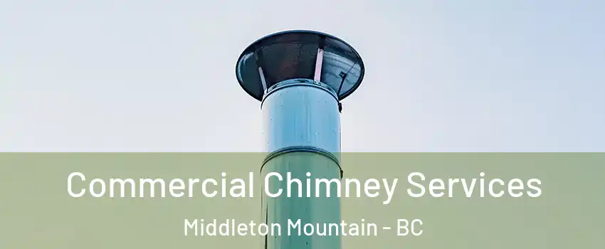  Commercial Chimney Services Middleton Mountain - BC