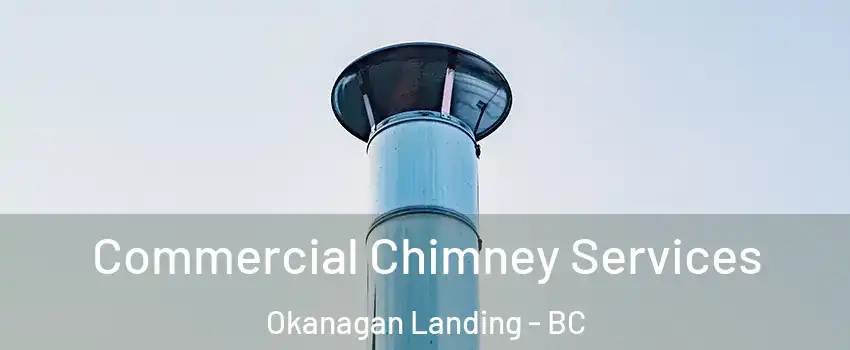  Commercial Chimney Services Okanagan Landing - BC