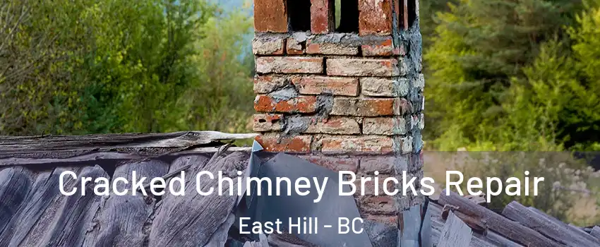  Cracked Chimney Bricks Repair East Hill - BC