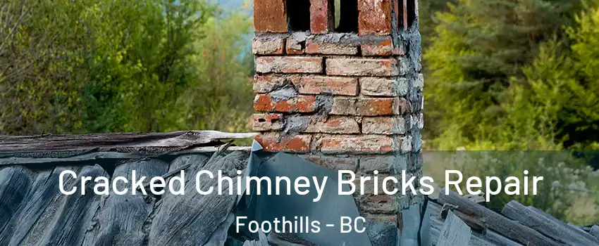  Cracked Chimney Bricks Repair Foothills - BC