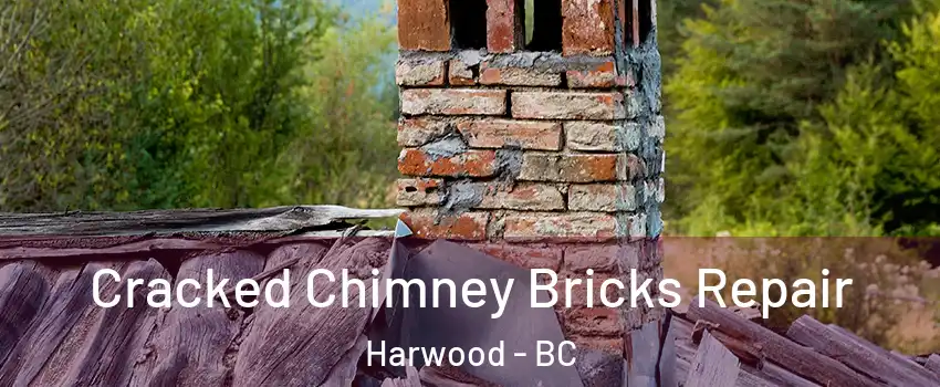  Cracked Chimney Bricks Repair Harwood - BC