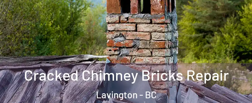  Cracked Chimney Bricks Repair Lavington - BC
