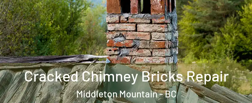  Cracked Chimney Bricks Repair Middleton Mountain - BC