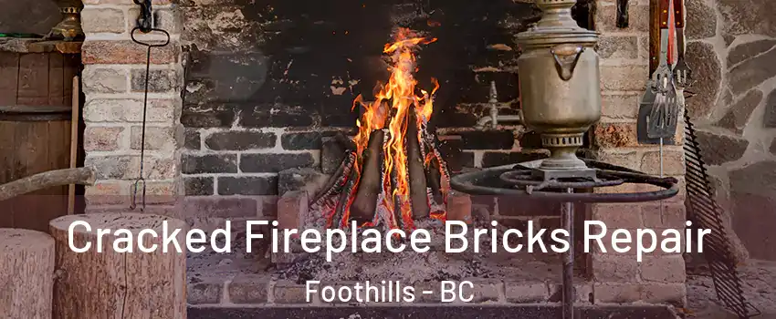  Cracked Fireplace Bricks Repair Foothills - BC