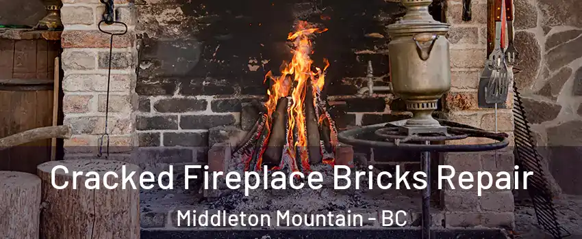  Cracked Fireplace Bricks Repair Middleton Mountain - BC