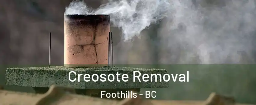  Creosote Removal Foothills - BC