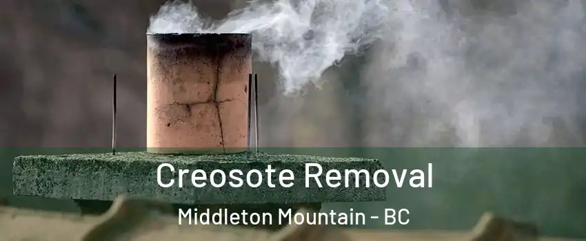  Creosote Removal Middleton Mountain - BC