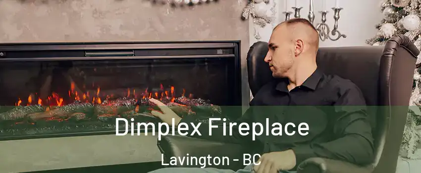  Dimplex Fireplace Lavington - BC