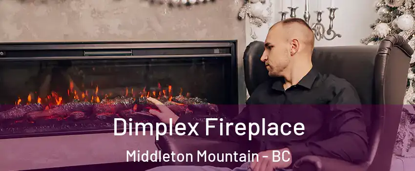 Dimplex Fireplace Middleton Mountain - BC