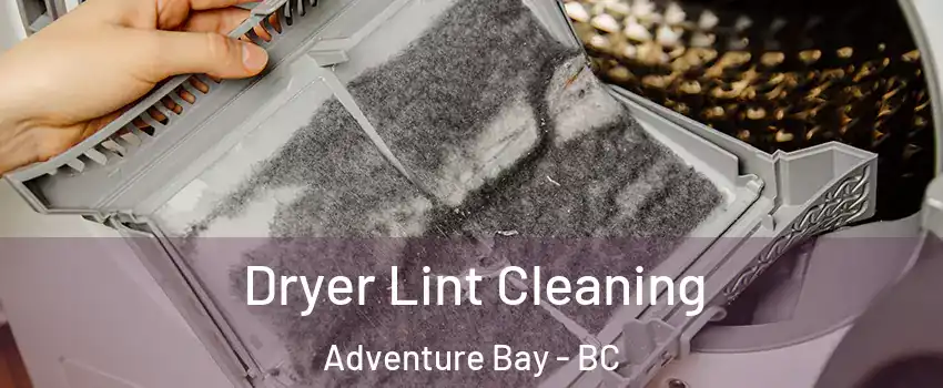  Dryer Lint Cleaning Adventure Bay - BC