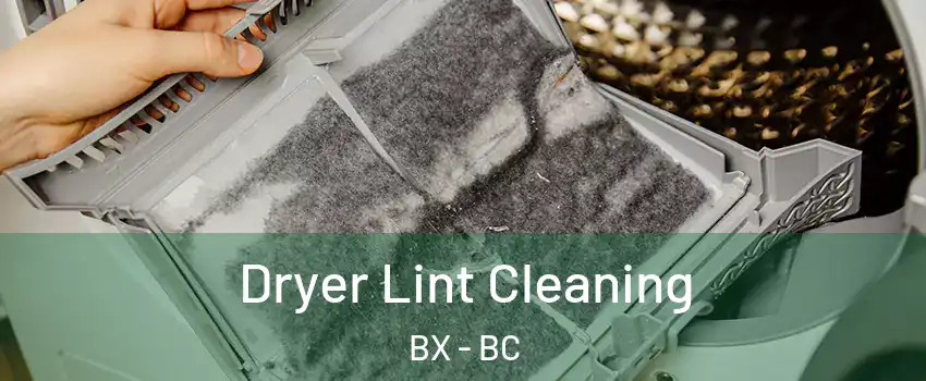  Dryer Lint Cleaning BX - BC