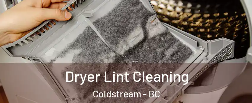  Dryer Lint Cleaning Coldstream - BC
