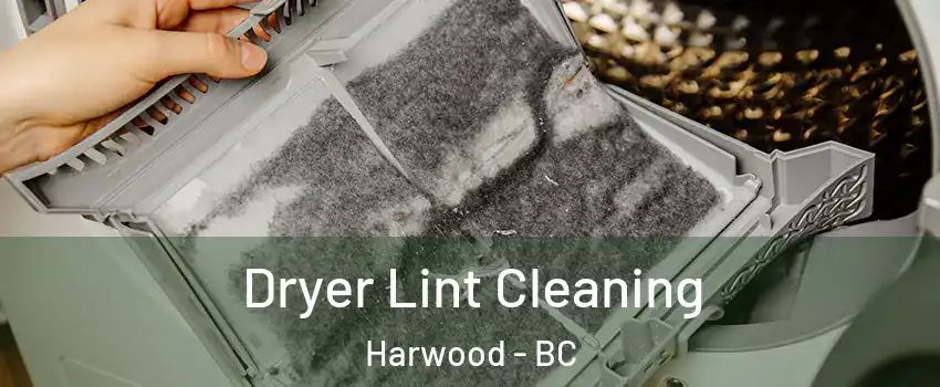  Dryer Lint Cleaning Harwood - BC