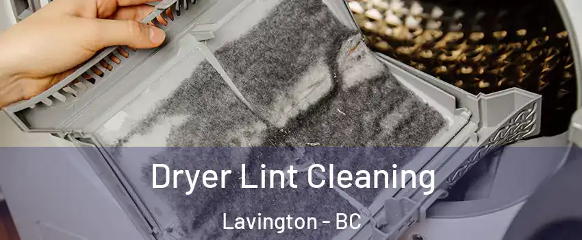  Dryer Lint Cleaning Lavington - BC