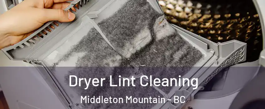  Dryer Lint Cleaning Middleton Mountain - BC