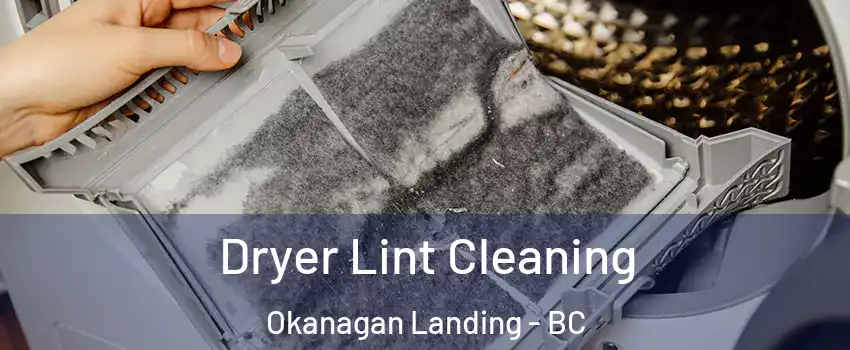  Dryer Lint Cleaning Okanagan Landing - BC