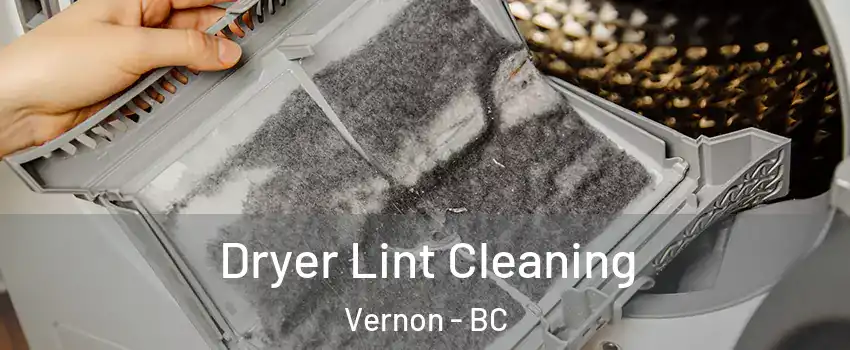  Dryer Lint Cleaning Vernon - BC
