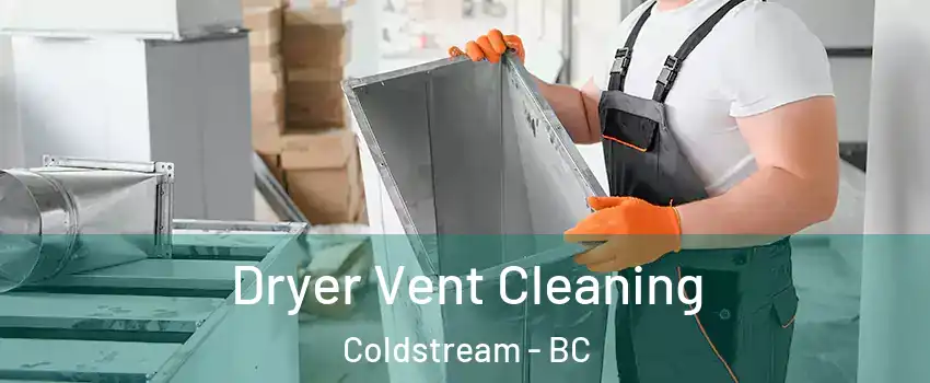  Dryer Vent Cleaning Coldstream - BC