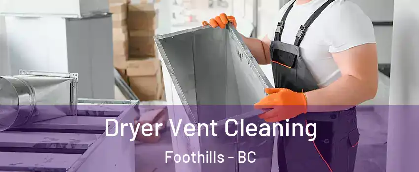  Dryer Vent Cleaning Foothills - BC