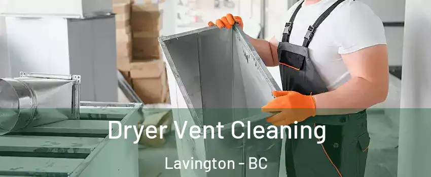  Dryer Vent Cleaning Lavington - BC