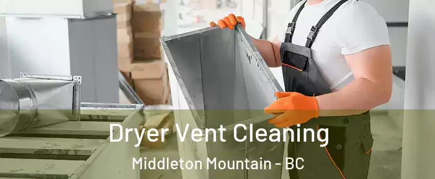  Dryer Vent Cleaning Middleton Mountain - BC