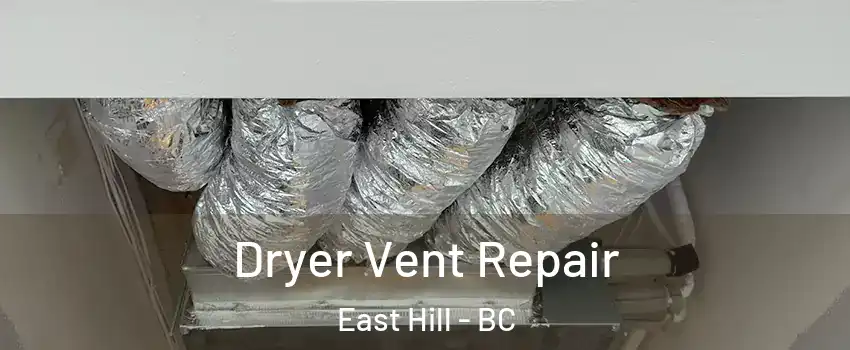  Dryer Vent Repair East Hill - BC