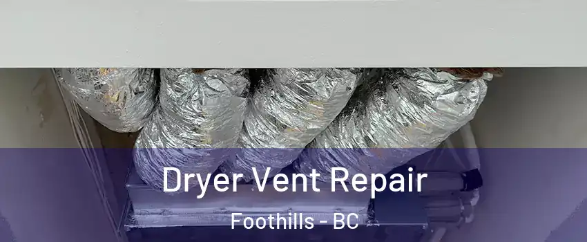  Dryer Vent Repair Foothills - BC