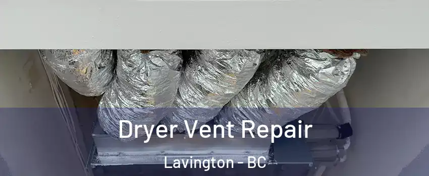  Dryer Vent Repair Lavington - BC