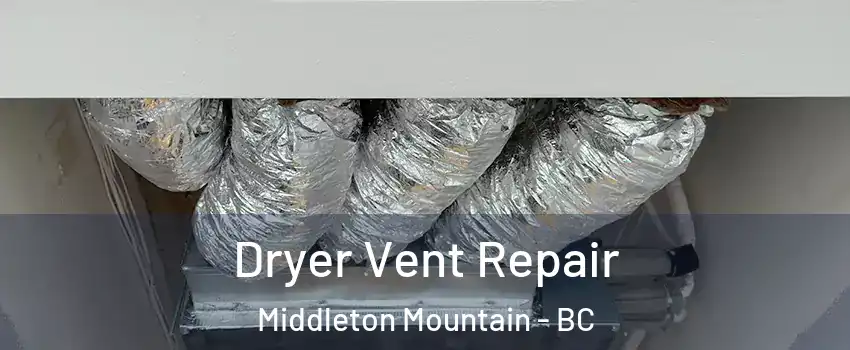  Dryer Vent Repair Middleton Mountain - BC