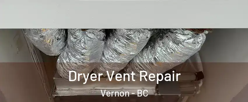  Dryer Vent Repair Vernon - BC