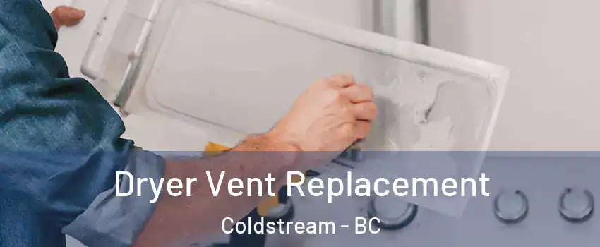  Dryer Vent Replacement Coldstream - BC