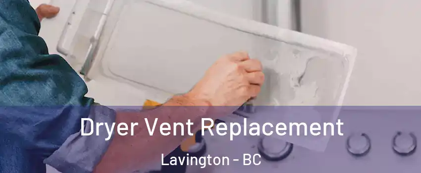  Dryer Vent Replacement Lavington - BC
