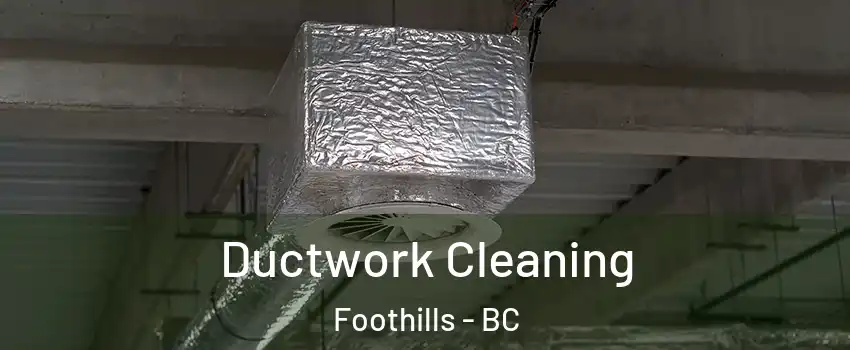  Ductwork Cleaning Foothills - BC