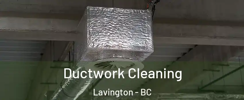  Ductwork Cleaning Lavington - BC