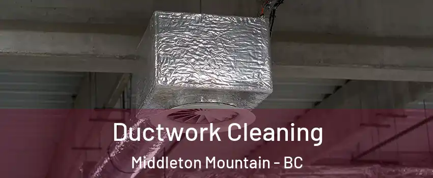 Ductwork Cleaning Middleton Mountain - BC