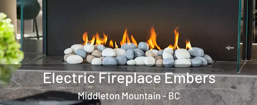  Electric Fireplace Embers Middleton Mountain - BC