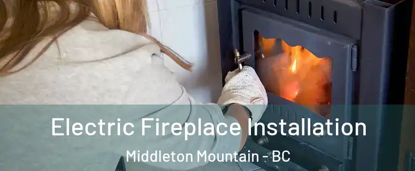  Electric Fireplace Installation Middleton Mountain - BC