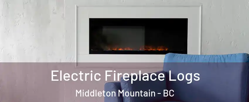 Electric Fireplace Logs Middleton Mountain - BC