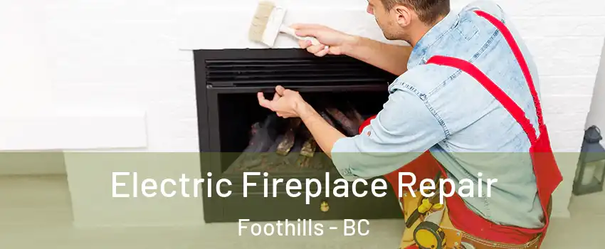  Electric Fireplace Repair Foothills - BC