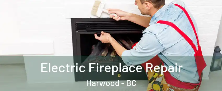  Electric Fireplace Repair Harwood - BC