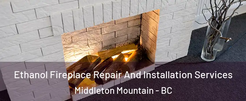  Ethanol Fireplace Repair And Installation Services Middleton Mountain - BC