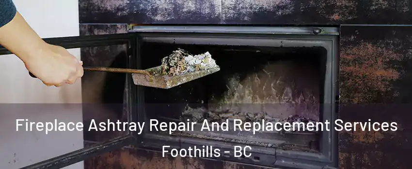  Fireplace Ashtray Repair And Replacement Services Foothills - BC