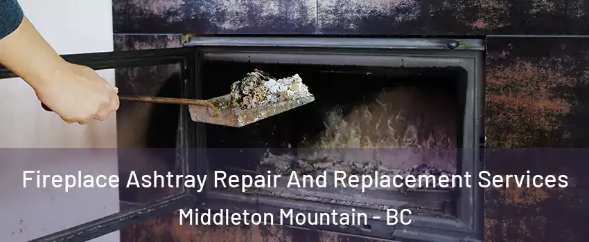  Fireplace Ashtray Repair And Replacement Services Middleton Mountain - BC