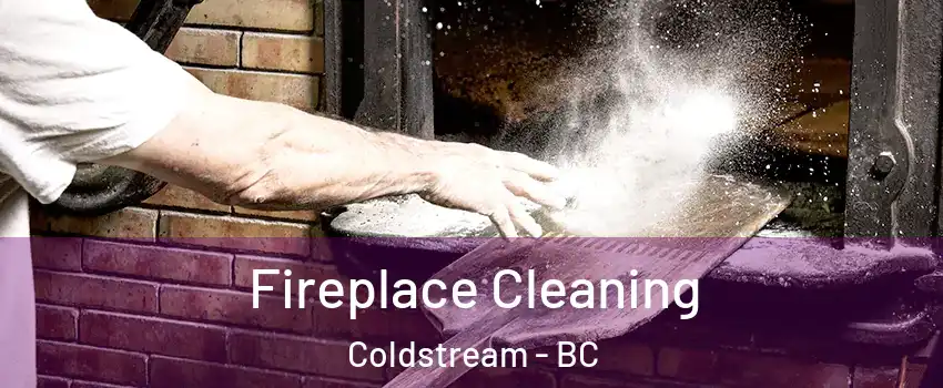  Fireplace Cleaning Coldstream - BC