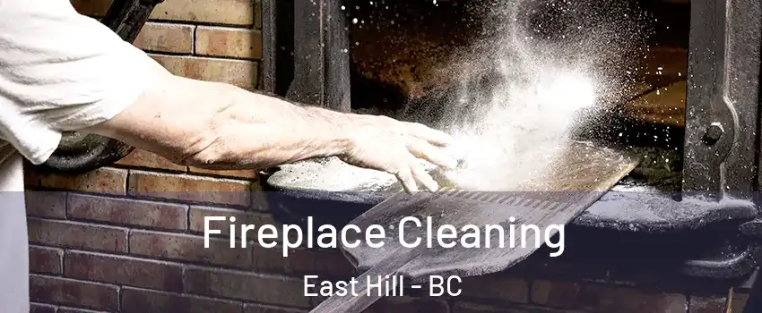  Fireplace Cleaning East Hill - BC