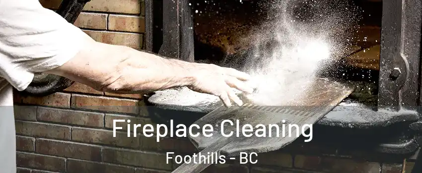  Fireplace Cleaning Foothills - BC