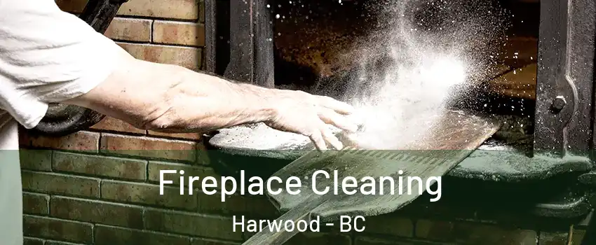  Fireplace Cleaning Harwood - BC
