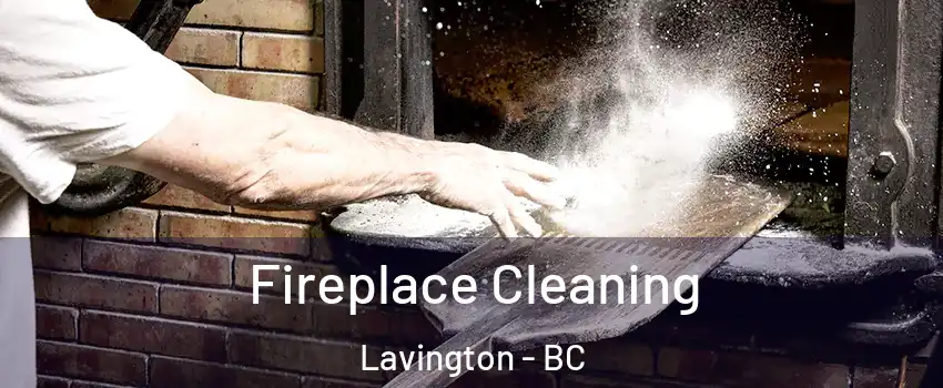  Fireplace Cleaning Lavington - BC