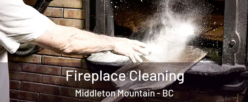  Fireplace Cleaning Middleton Mountain - BC