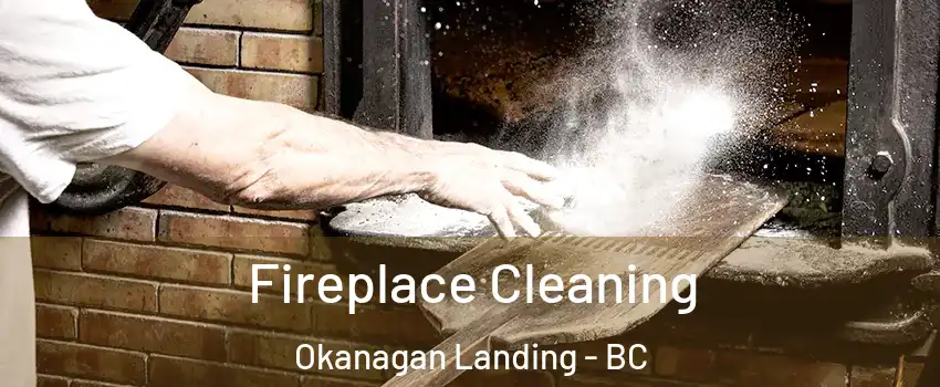  Fireplace Cleaning Okanagan Landing - BC